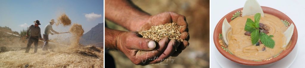 El trigo, el oro de la tierra