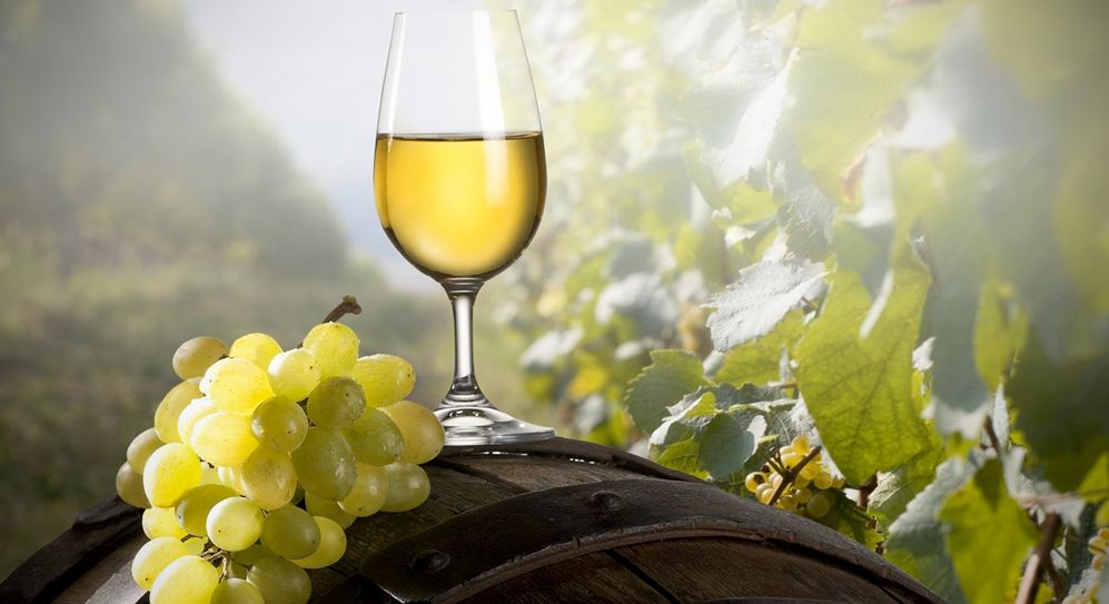 Los vinos de Canarias conquistan Italia con 38 medallas y 6 premios especiales